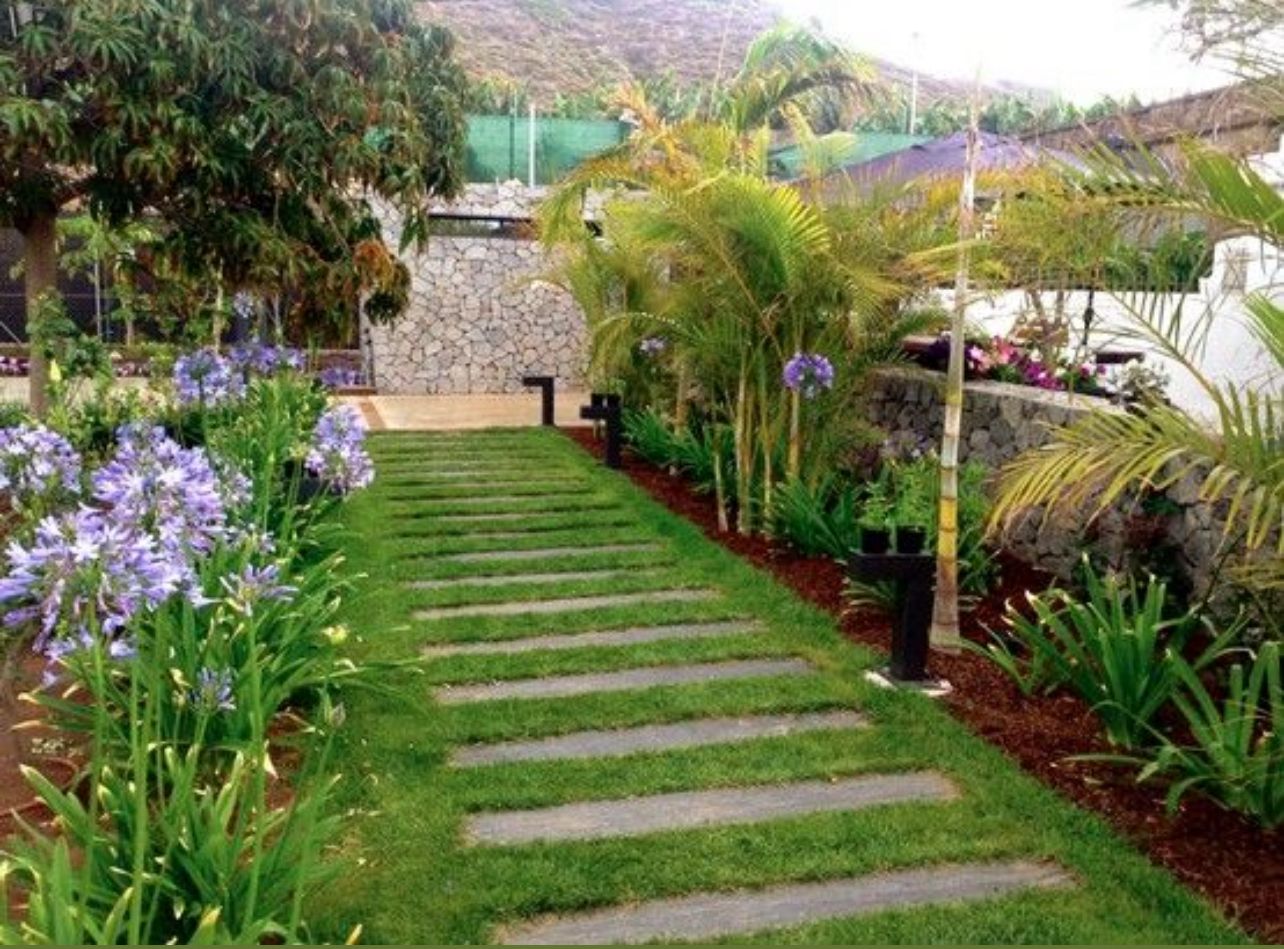 ejempl_ (12) ejempl_ (12)
